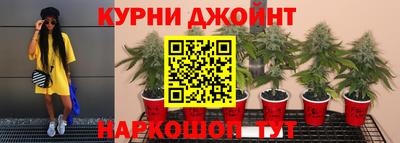 шишки Партизанск