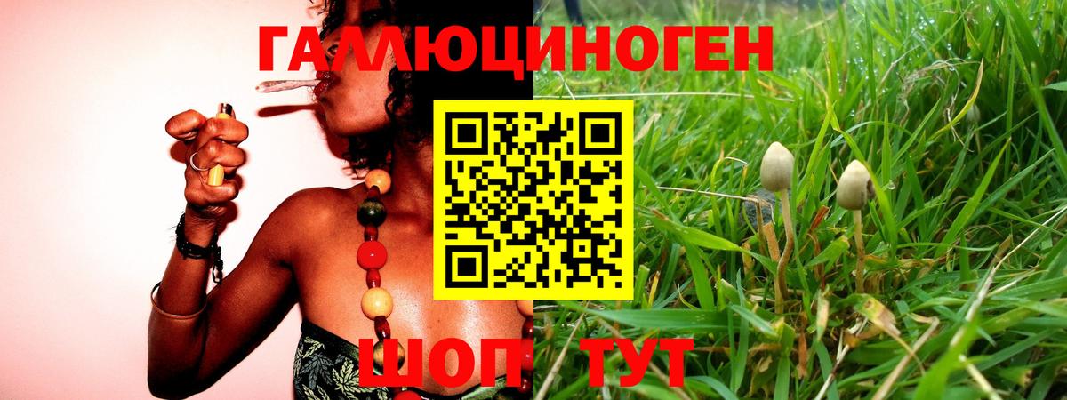 Галлюциногенные грибы MAGIC MUSHROOMS Рузаевка