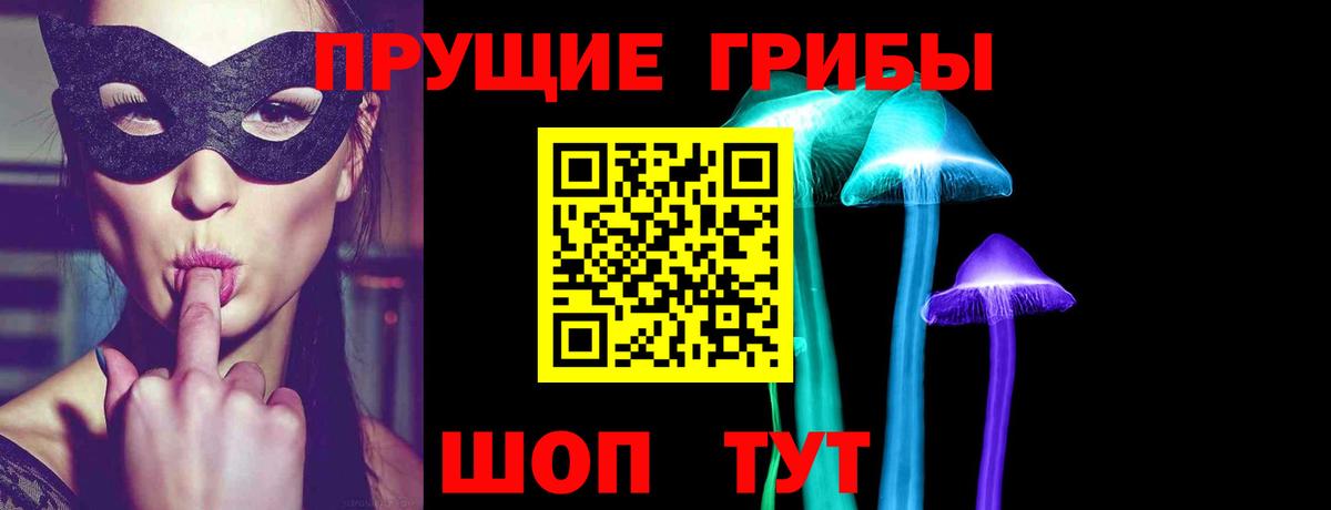 Рузаевка  Псилоцибиновые грибы GOLDEN TEACHER  Вход с VPN 